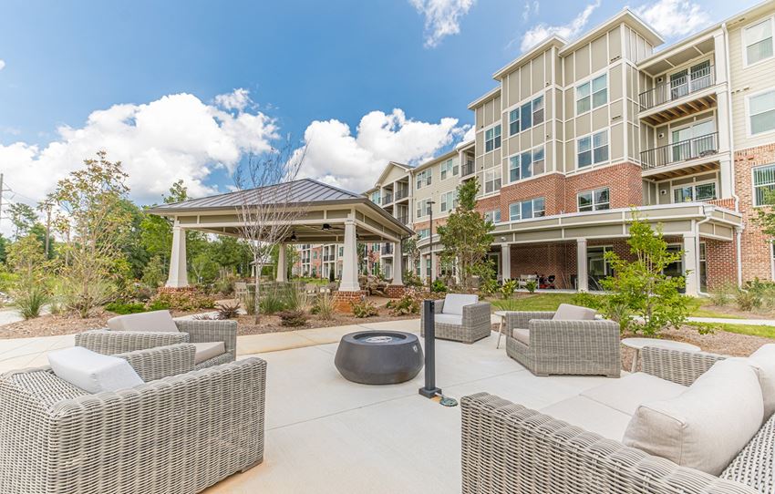 Grayson Ridge 55+ Apartments, 1466 Grayson Highway, Lawrenceville, GA